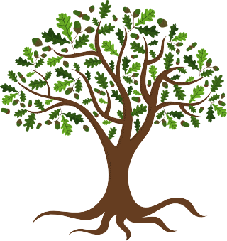 Binary Tree [100%x225]